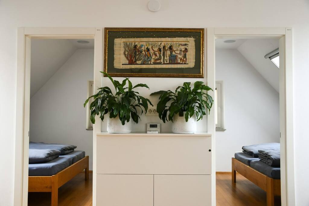 Stairway To Ljubljana Apartment Экстерьер фото